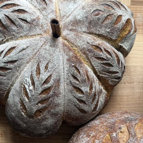 Pumpkin-shaped sourdough boule with a cinnamon sugar swirl